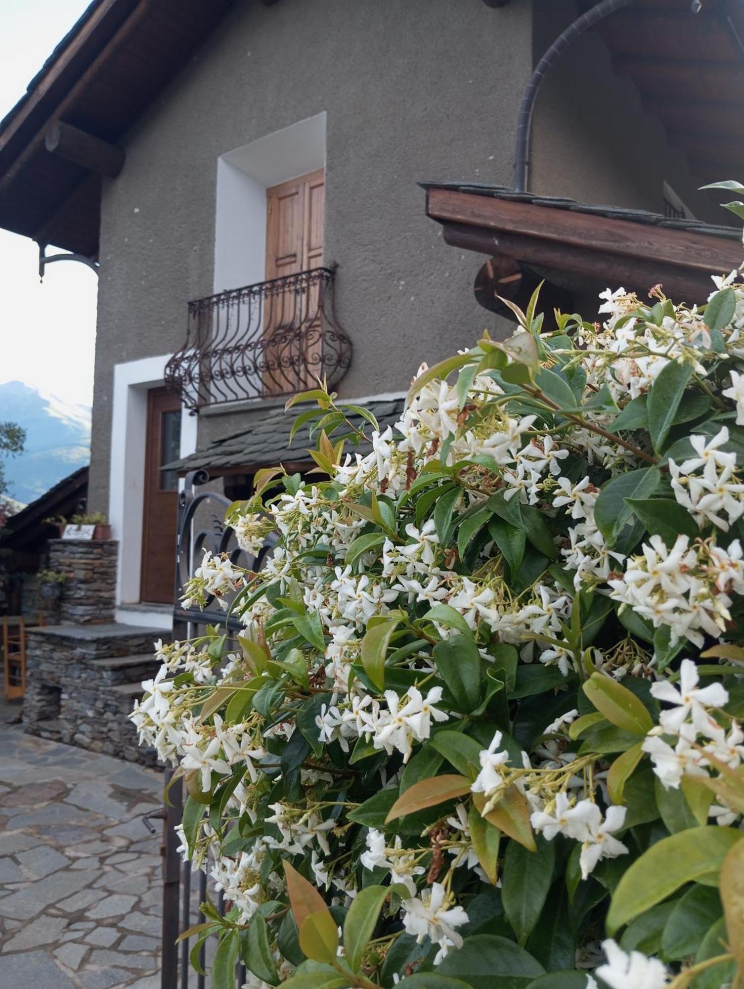 Rosina House E Chalet Colico Zewnętrze zdjęcie